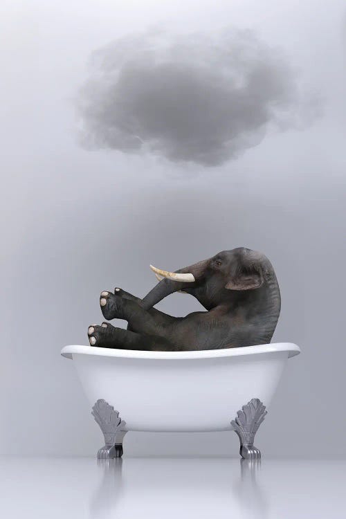 elephant relaxing in the bath 2