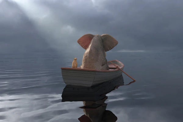 Mike Kiev: An Elephant And A Dog Float In A Boat After The Rain by Mike Kiev