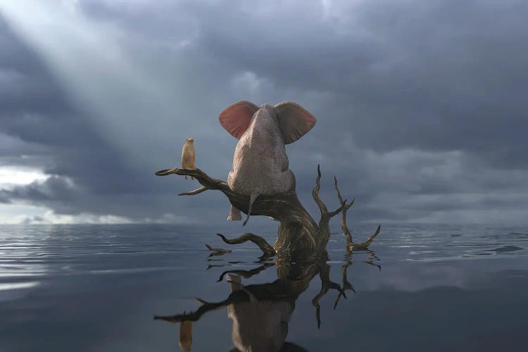 Elephant And Dog Are Sitting On A Tree In Flood II