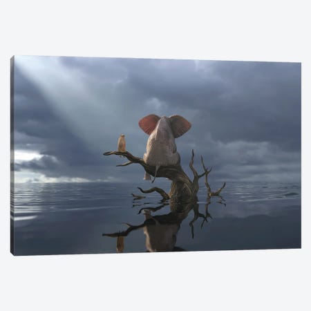Elephant And Dog Are Sitting On A Tree In Flood II Canvas Print #MII98} by Mike Kiev Canvas Artwork