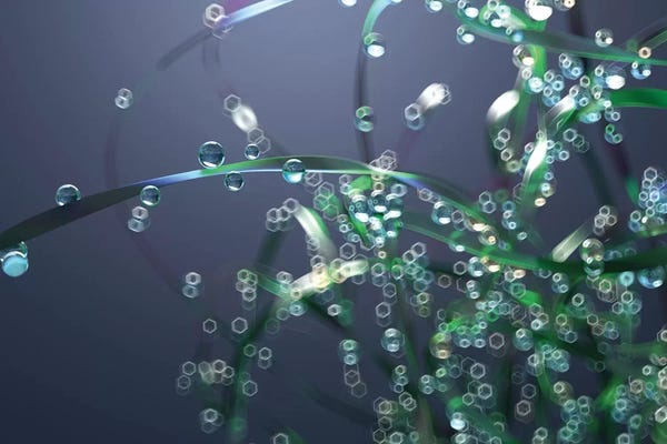 Mike Kiev: Drops Of Dew On Leaves Of Grass by Mike Kiev