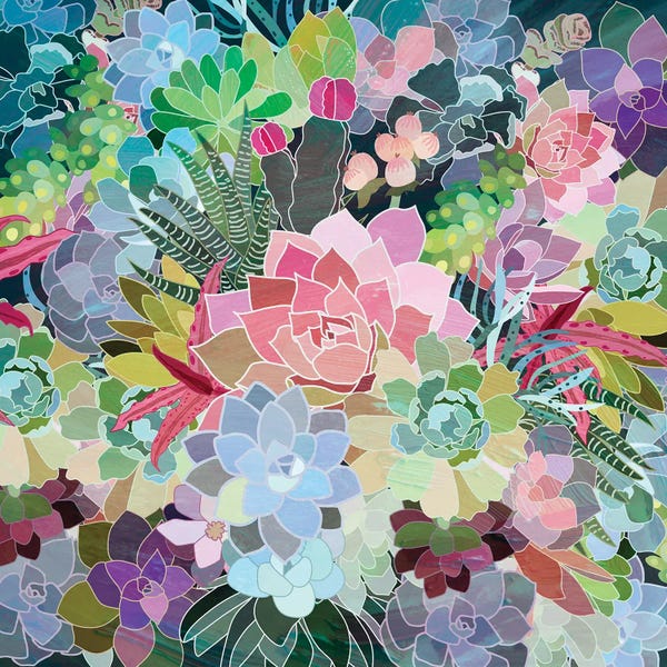 Colorburst: Succulents by Mia Charro