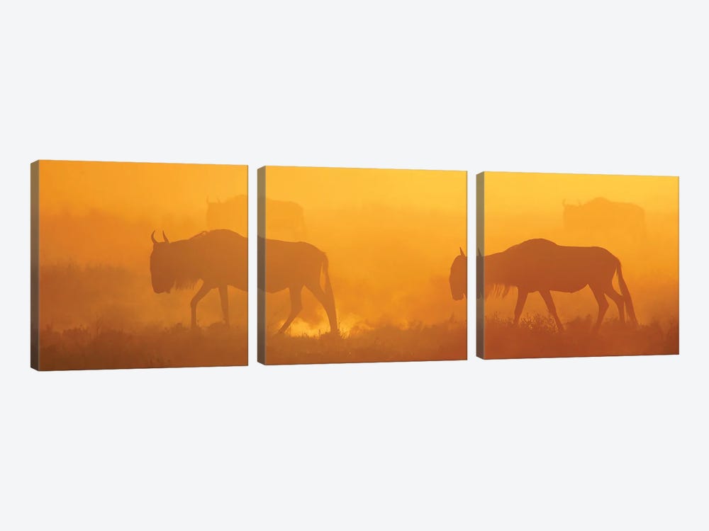 Africa Dust by Miguel Lasa 3-piece Canvas Print