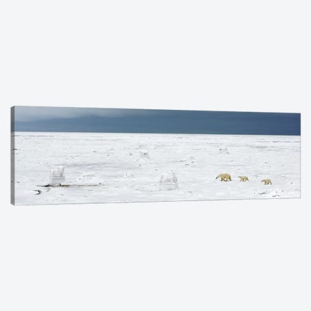 Polar Scape Canvas Print #MIU5} by Miguel Lasa Canvas Wall Art