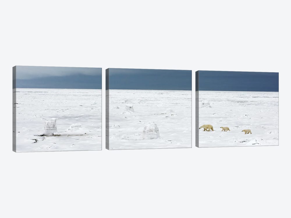 Polar Scape by Miguel Lasa 3-piece Canvas Artwork