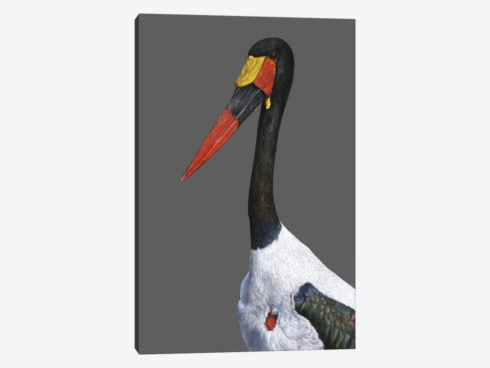 Saddle-Billed Stork by Mikhail Vedernikov 1-piece Canvas Art Print