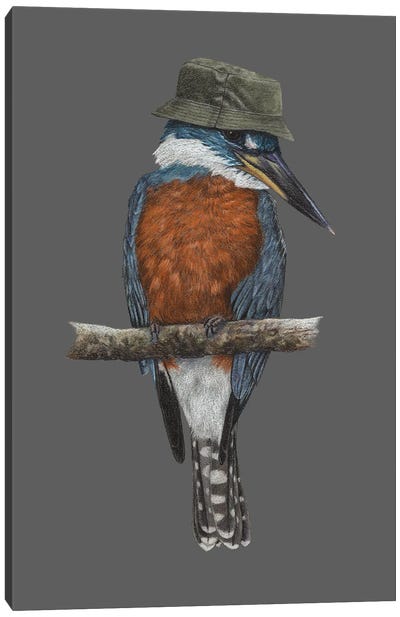 Ringed Kingfisher Canvas Art Print - Mikhail Vedernikov