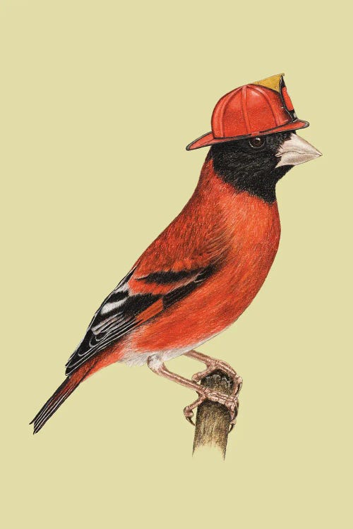 Red Siskin