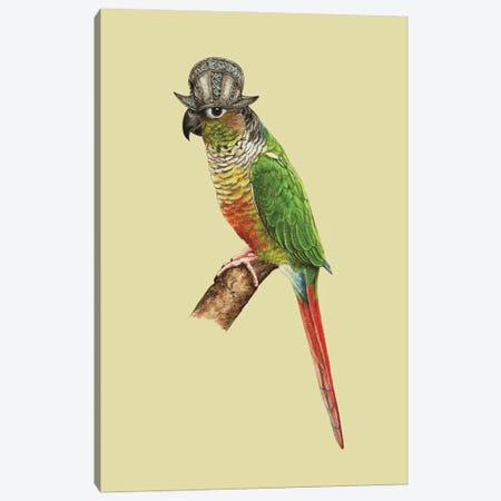 Green-Cheeked Parakeet Canvas Print #MIV116} by Mikhail Vedernikov Canvas Art