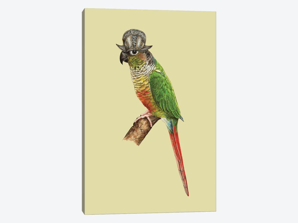 Green-Cheeked Parakeet by Mikhail Vedernikov 1-piece Canvas Print