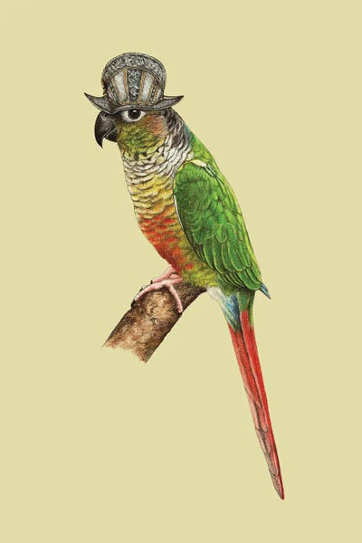 Office Humor: Green-Cheeked Parakeet by Mikhail Vedernikov