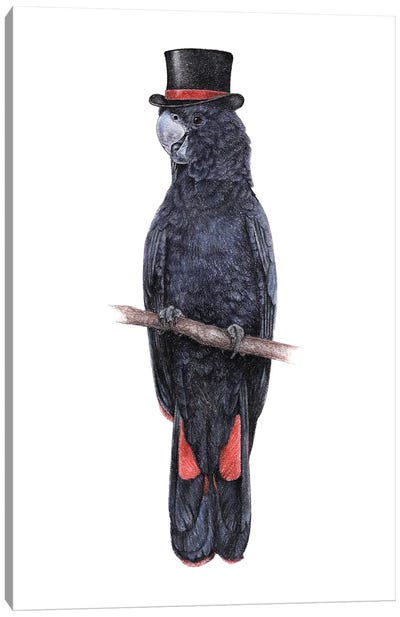 Red-Tailed Black Cockatoo Canvas Art Print - Mikhail Vedernikov