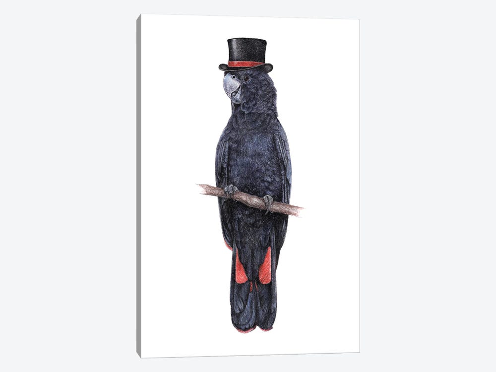 Red-Tailed Black Cockatoo by Mikhail Vedernikov 1-piece Art Print
