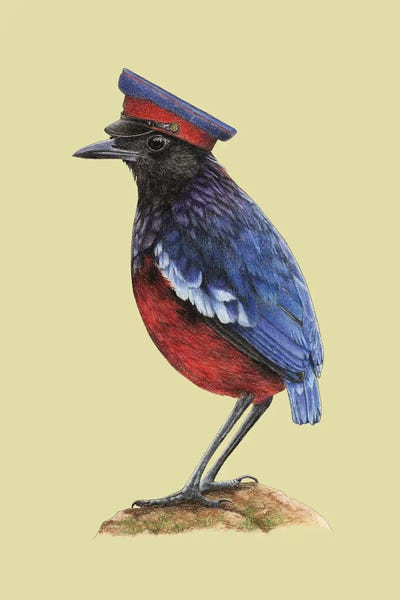 Garnet Pitta by Mikhail Vedernikov gallery poster