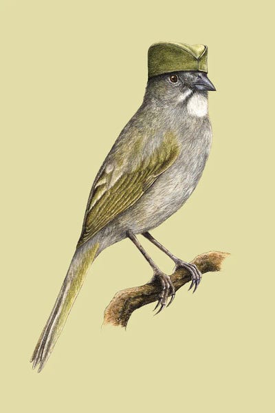 Green-Tailed Towhee by Mikhail Vedernikov gallery poster