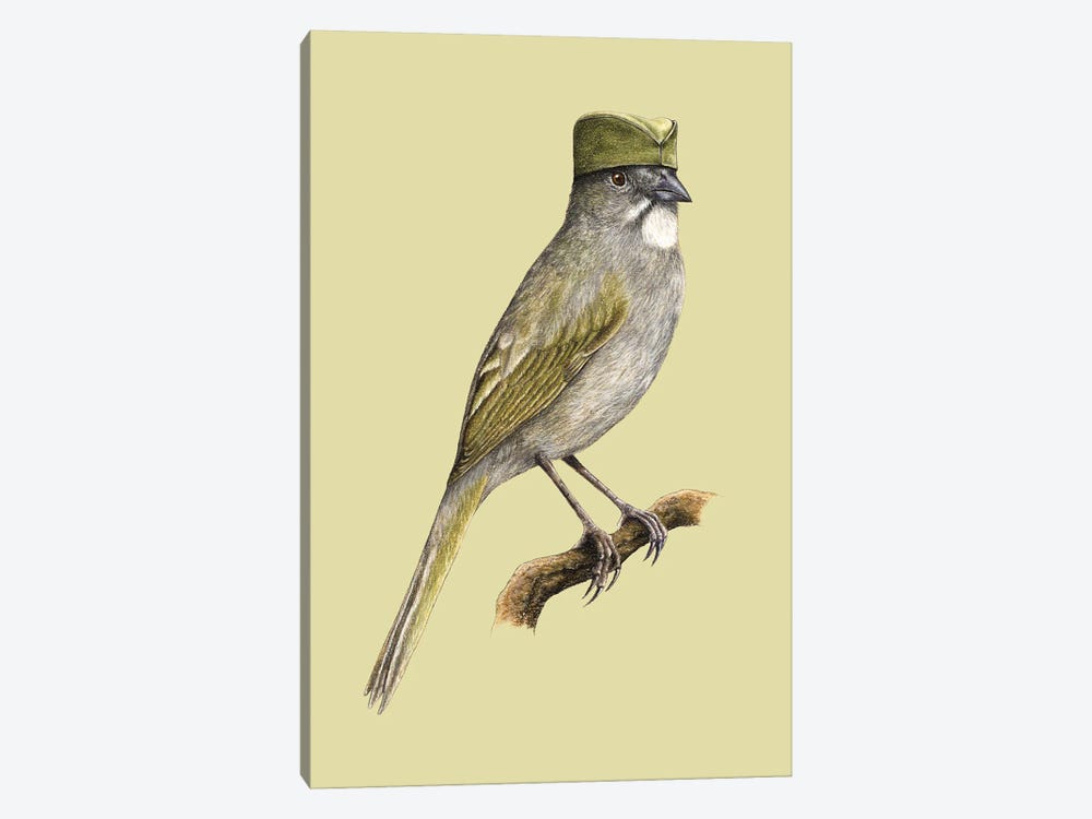 Green-Tailed Towhee by Mikhail Vedernikov 1-piece Canvas Wall Art