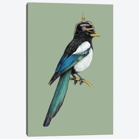 Yellow-Billed Magpie Canvas Print #MIV123} by Mikhail Vedernikov Canvas Wall Art