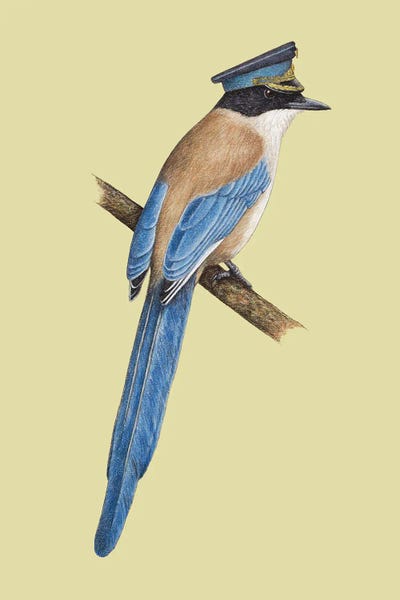 Azure-Winged Magpie by Mikhail Vedernikov gallery poster