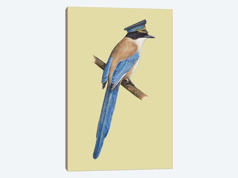 Azure-Winged Magpie by Mikhail Vedernikov 1-piece Canvas Wall Art