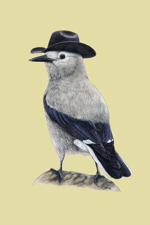 Clark's Nutcracker