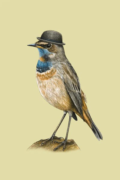 Bluethroat by Mikhail Vedernikov canvas print