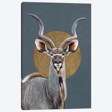 Greater Kudu Canvas Print #MIV135} by Mikhail Vedernikov Canvas Artwork