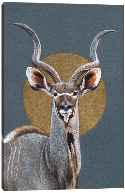 Greater Kudu Canvas Art Print - Mikhail Vedernikov