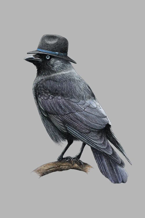 Jackdaw by Mikhail Vedernikov wall art