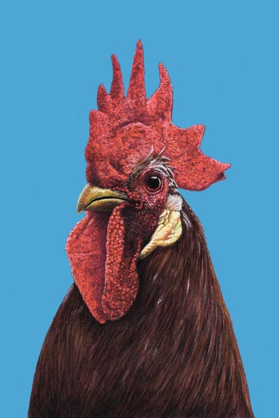 Rooster II by Mikhail Vedernikov canvas print
