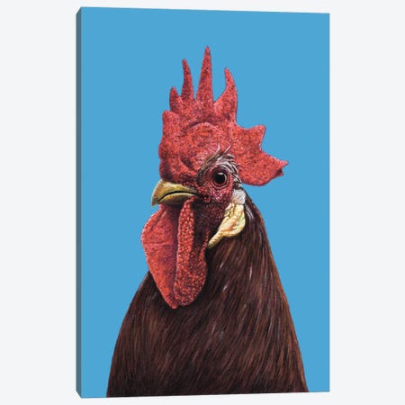Rooster II Canvas Print #MIV140} by Mikhail Vedernikov Canvas Wall Art