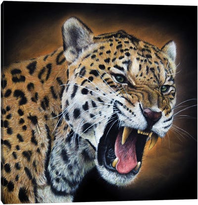 Jaguar Canvas Art Print - Mikhail Vedernikov