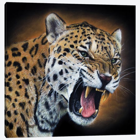 Jaguar Canvas Print #MIV142} by Mikhail Vedernikov Canvas Art