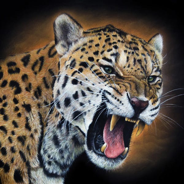 Jaguars: Jaguar by Mikhail Vedernikov