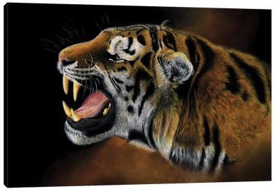Tiger II Canvas Art Print - Mikhail Vedernikov