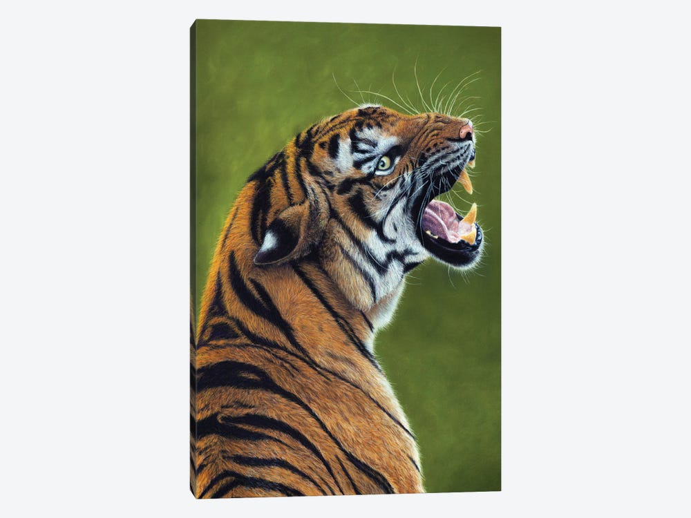 Tiger III by Mikhail Vedernikov 1-piece Canvas Art