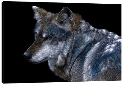 Mexican Wolf Canvas Art Print - Mikhail Vedernikov