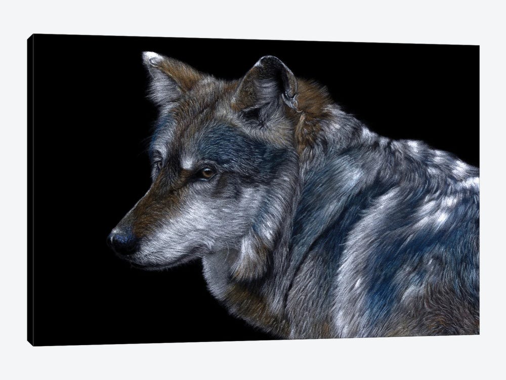 Mexican Wolf by Mikhail Vedernikov 1-piece Canvas Art Print