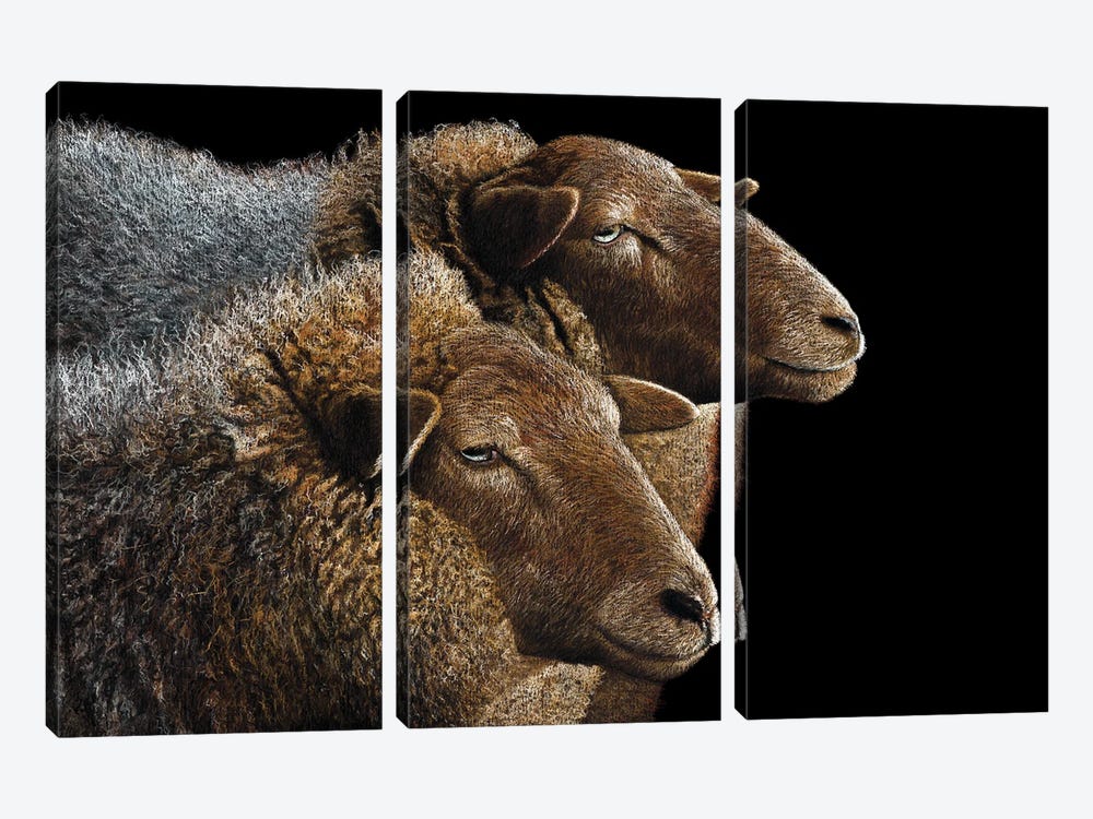 Sheeps by Mikhail Vedernikov 3-piece Canvas Art