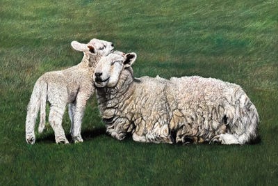 Sheeps II by Mikhail Vedernikov framed wall art