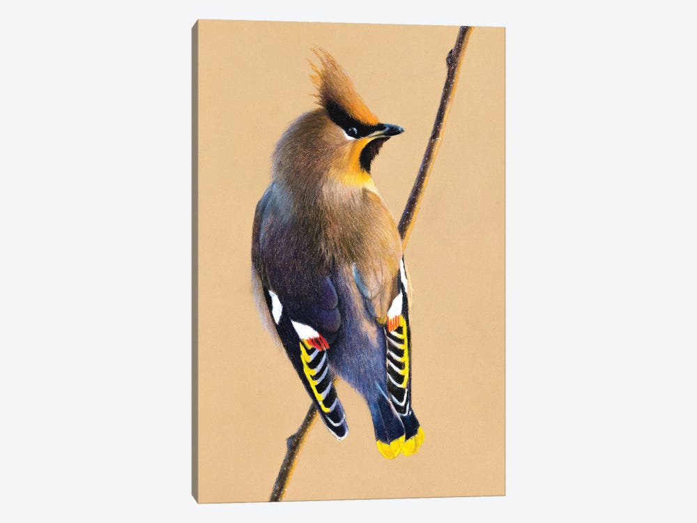 Bohemian Waxwing by Mikhail Vedernikov 1-piece Canvas Wall Art
