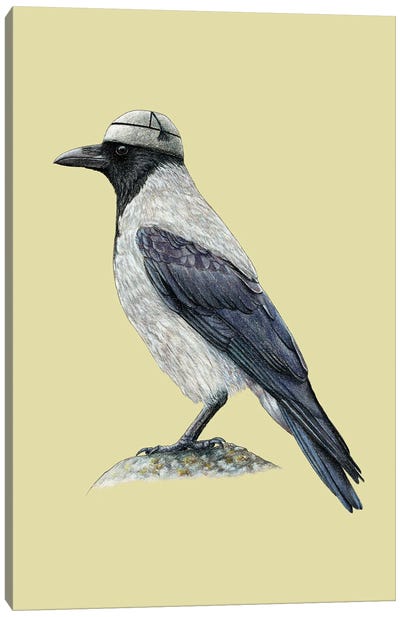 Hooded Crow II Canvas Art Print - Crow Art