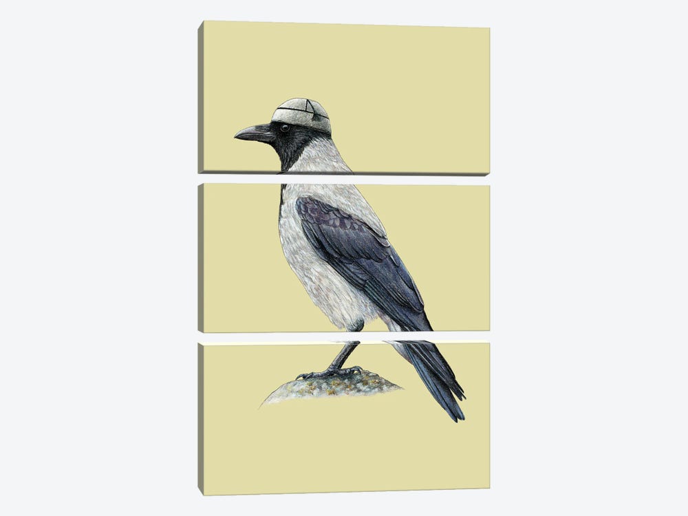Hooded Crow II by Mikhail Vedernikov 3-piece Art Print
