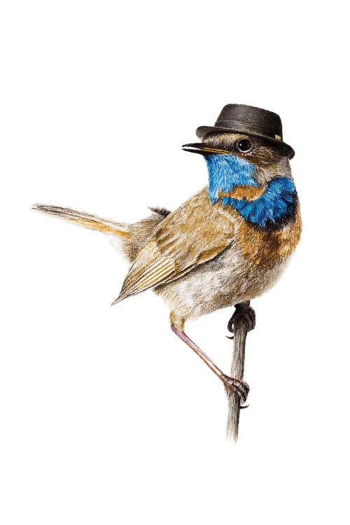 Bluethroat#2 by Mikhail Vedernikov wall art