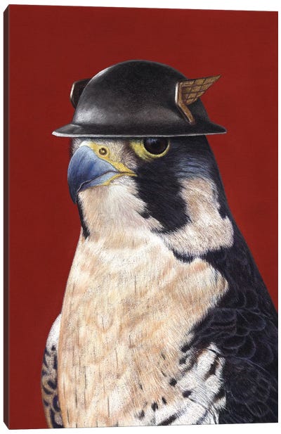 Peregrine Falcon Canvas Art Print - Mikhail Vedernikov