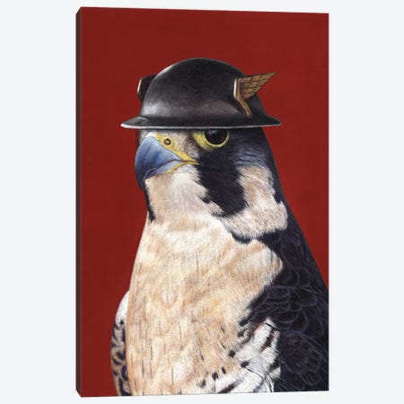 Peregrine Falcon Canvas Print #MIV160} by Mikhail Vedernikov Canvas Art