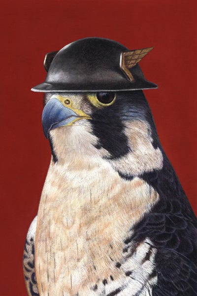 Falcons: Peregrine Falcon by Mikhail Vedernikov