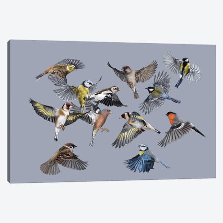 Birds Canvas Print #MIV162} by Mikhail Vedernikov Canvas Artwork