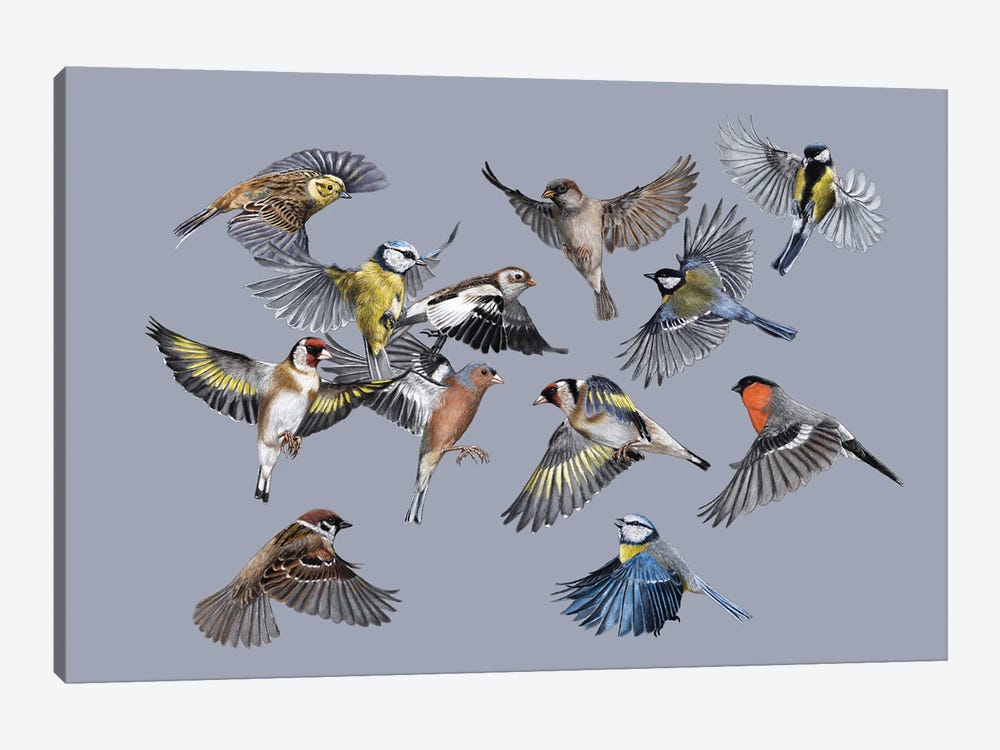Birds by Mikhail Vedernikov 1-piece Canvas Artwork