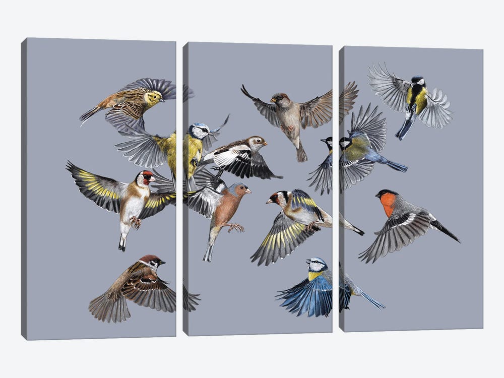 Birds by Mikhail Vedernikov 3-piece Canvas Wall Art