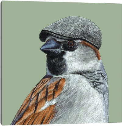 House Sparrow II Canvas Art Print - Art for Dad
